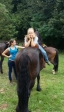 Ariat Western Ranch